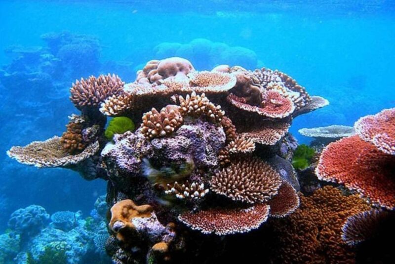 From Sharm El Sheikh: Colored Canyon, Blue Hole & Dahab - Key Points