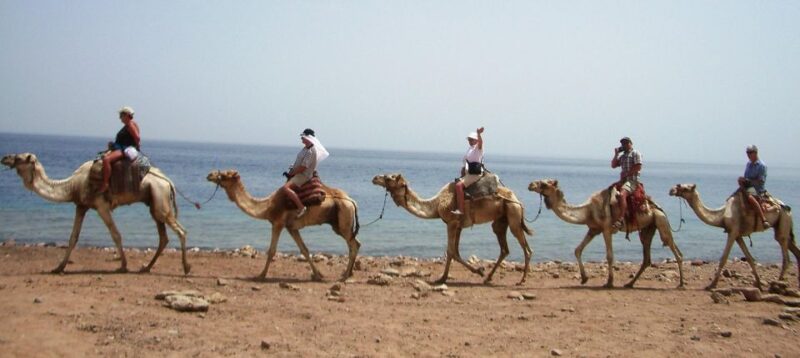 From Sharm El Sheikh: Colored Canyon, Blue Hole & Dahab - Optional Camel Ride