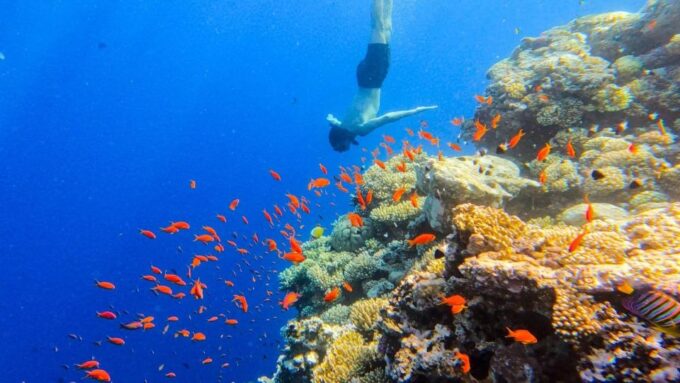 From Sharm El Sheikh: Colored Canyon, Blue Hole & Dahab - Customer Feedback