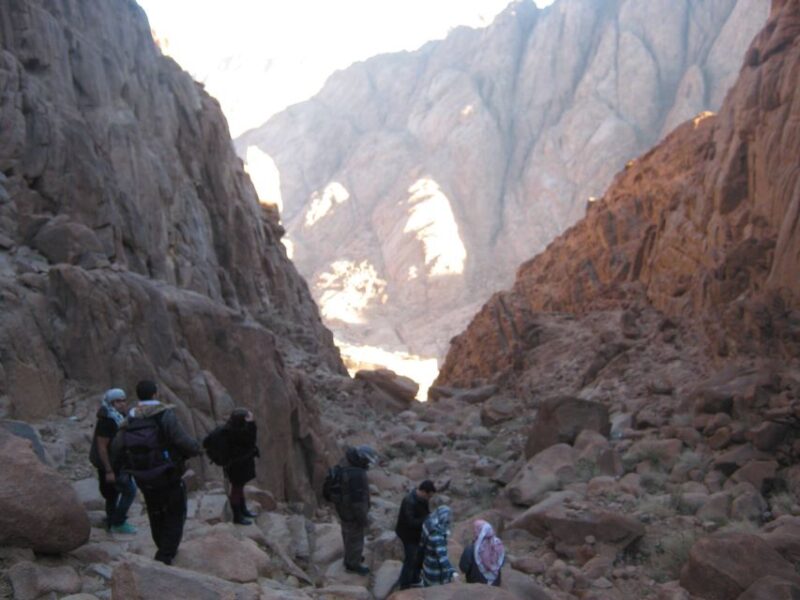 From Sharm-El-Sheikh: Day Trip to St. Catherine and Dahab - Customer Feedback and Ratings