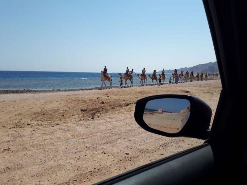 From Sharm El Sheikh: Full Day in Dahab With Snorkeling - Itinerary Details