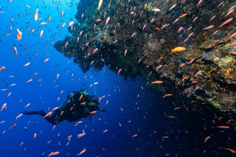 From Sharm El Sheikh: Full Day in Dahab With Snorkeling - Snorkeling at the Blue Hole