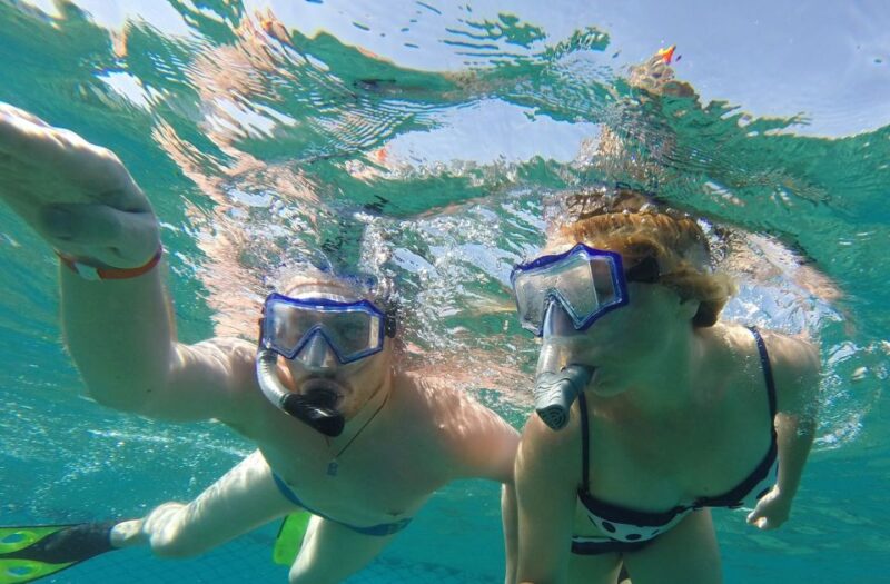 From Sharm El-Sheikh: Ras Mohammed Snorkeling Trip Bu Bus - Itinerary and Activities