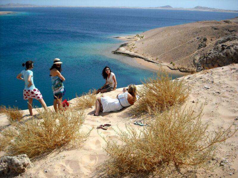 From Sharm El-Sheikh: Ras Mohammed Snorkeling Trip Bu Bus - Highlights and Experiences