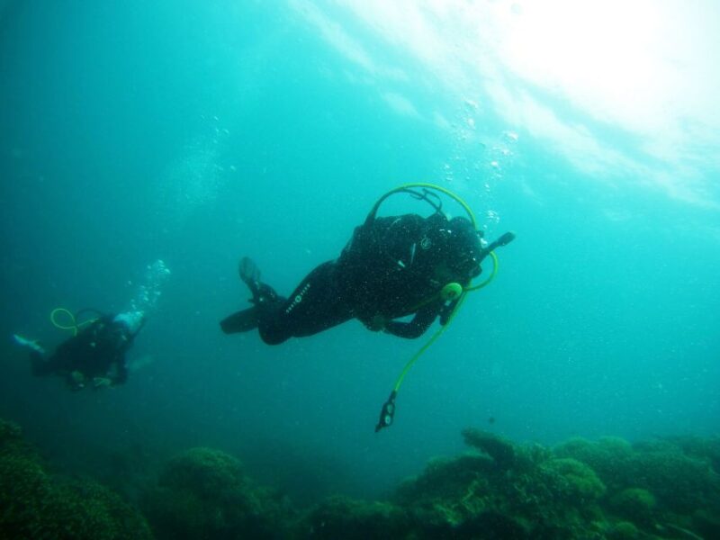 From Sharm El Sheikh: Sharks Bay Scuba Diving Trip - Key Points