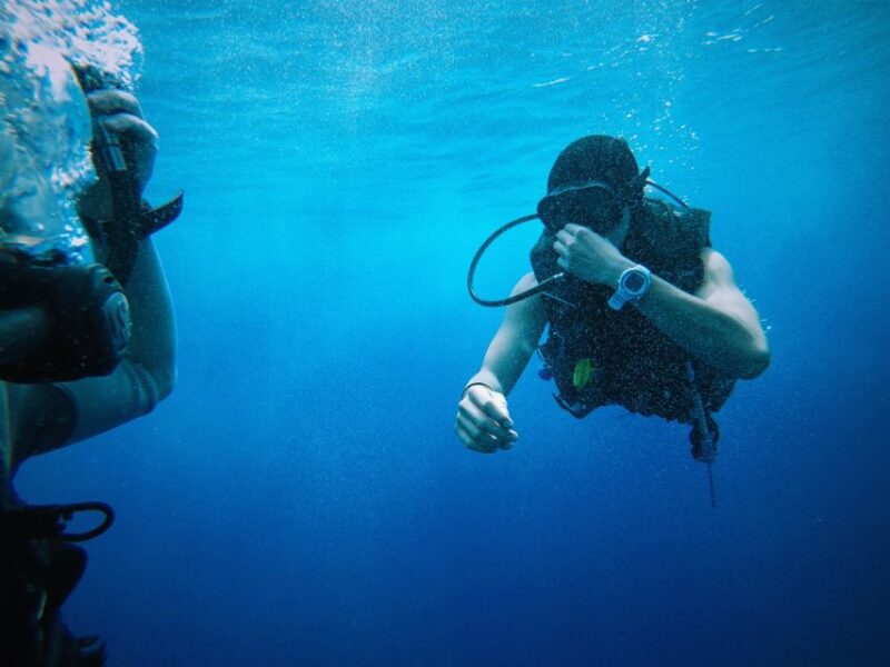 From Sharm El Sheikh: Sharks Bay Scuba Diving Trip - Location and Experience