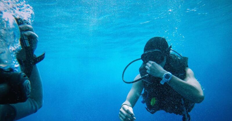 From Sharm El Sheikh: Sharks Bay Scuba Diving Trip - Itinerary Details