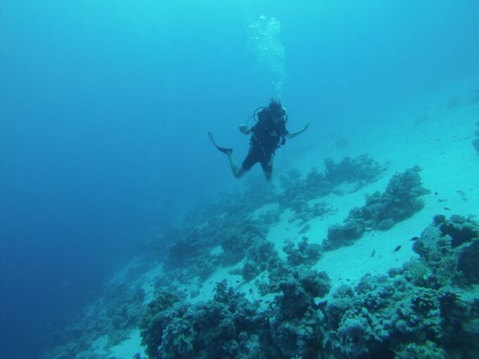 From Sharm or Dahab: Blue Hole & Canyon Sea Dive Experience - Cancellation and Payment Options