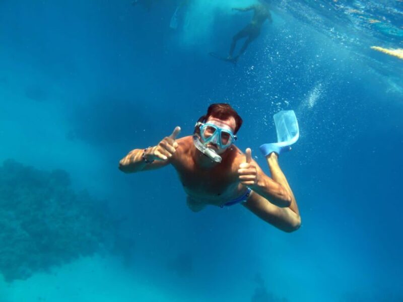 From Sharm: Ras Mohammed Snorkeling Cruise & Optional Diving - Language and Accessibility