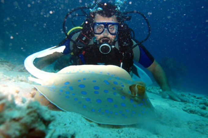 From Sharm: Ras Mohammed Snorkeling Cruise & Optional Diving - Booking and Contact Information