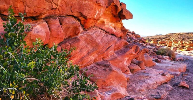From Sharm: Red Canyon, Dahab, ATV, Camel & Snorkeling Tour - Key Points