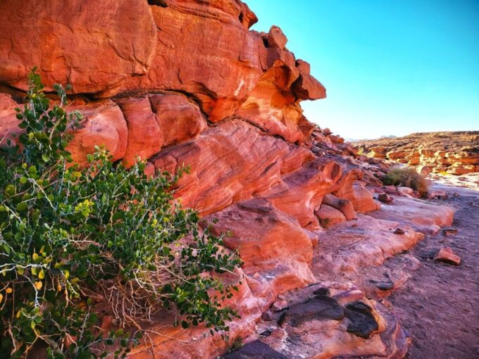 From Sharm: Red Canyon, Dahab, ATV, Camel & Snorkeling Tour - Frequently Asked Questions