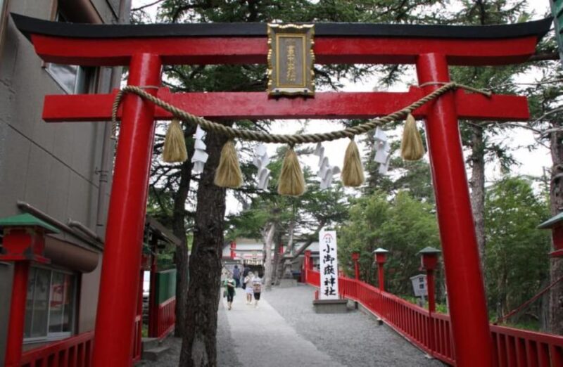 From Shinjuku: Mt. Fuji and Shine Muscat Grape Picking 1-Day Tour - Key Points