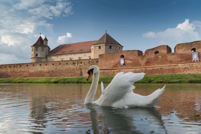 From Sibiu: Guided Tour Full of Surprises! - Return Point