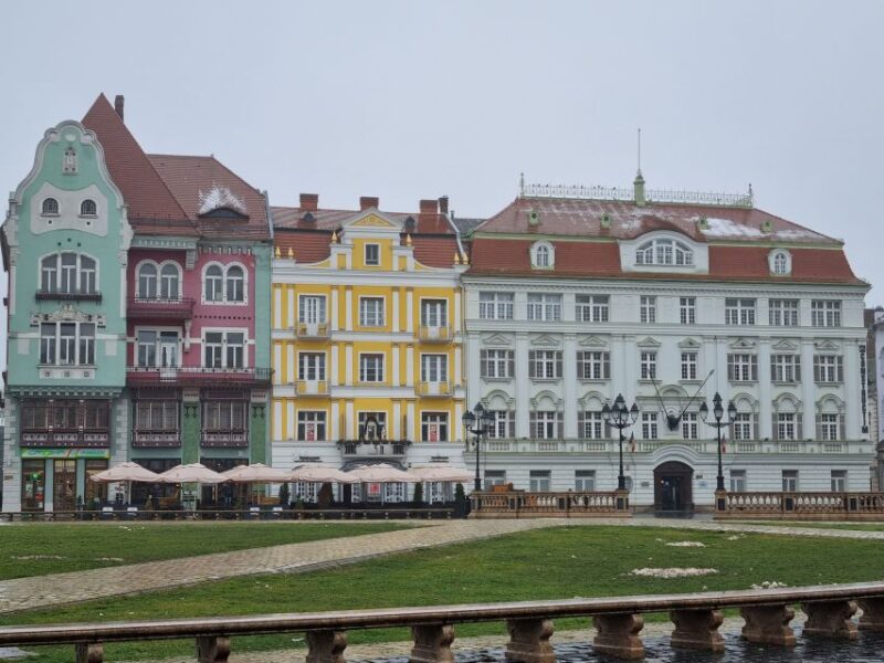 From Sibiu: Timisoara Highlights Day Trip - What to Bring and Avoid