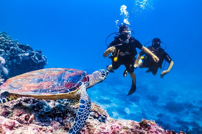 From Side, Alanya: Scuba Diving With 2 Time Dive & Lunch - Lunch and Beverages