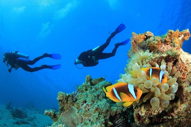From Side, Alanya: Scuba Diving With 2 Time Dive & Lunch - Participant Information