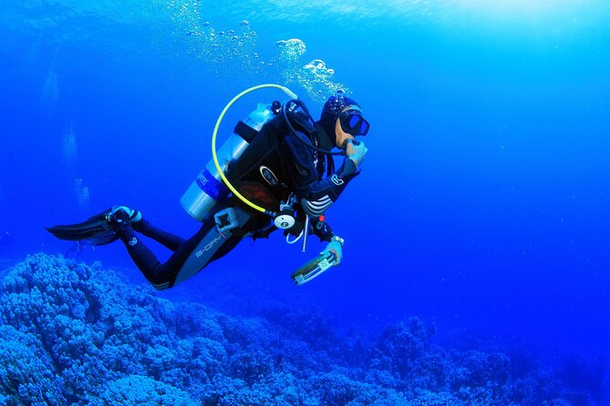 From Side, Alanya: Scuba Diving With 2 Time Dive & Lunch - Insurance and Safety