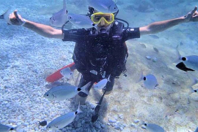From Side, Alanya: Scuba Diving With 2 Time Dive & Lunch - Recap