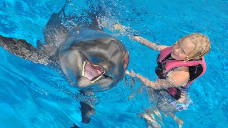 From Side: Dolphin and Seal Show Ticket With Hotel Transfers - Booking Details