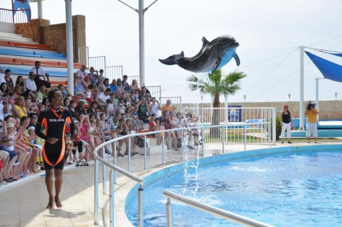 From Side: Dolphin and Seal Show Ticket With Hotel Transfers - Frequently Asked Questions