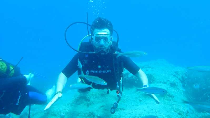 From Side: Guided Scuba Diving in Alanya W/ Lunch & Transfer - Explore Underwater Life