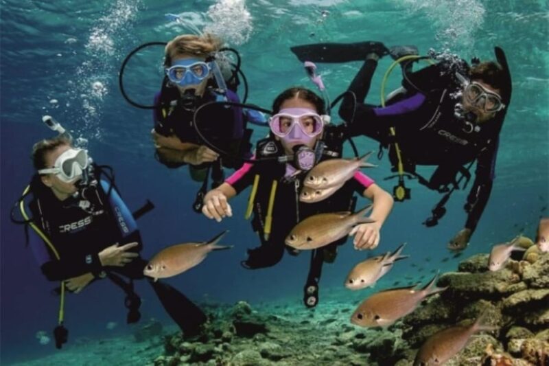 From Side: Scuba Diving: Explore the Depths - Activity Highlights