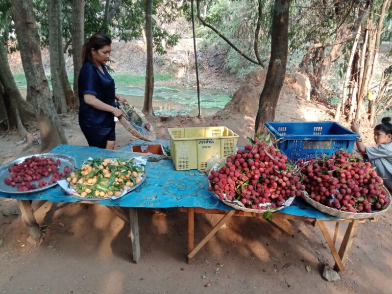 From Siem Reap: Angkor Wat Sunrise & Lost City Private Tour - Preparation and Requirements