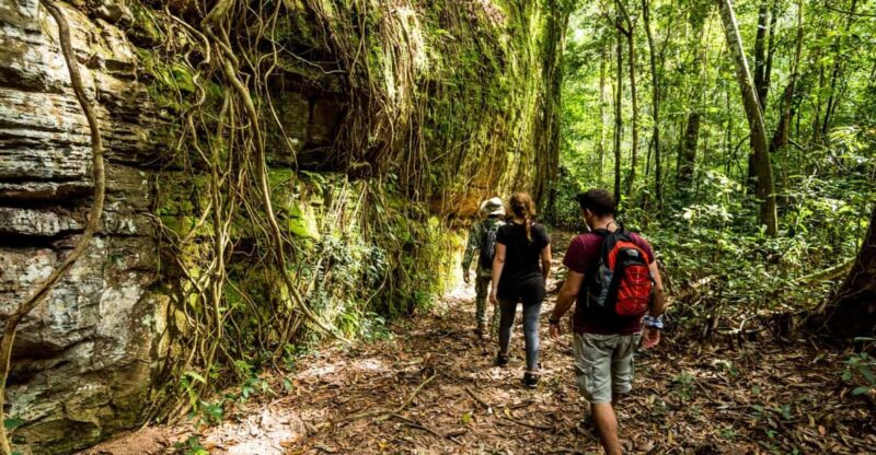 From Siem Reap: Phnom Kulen National Park Trekking Tour - Good To Know