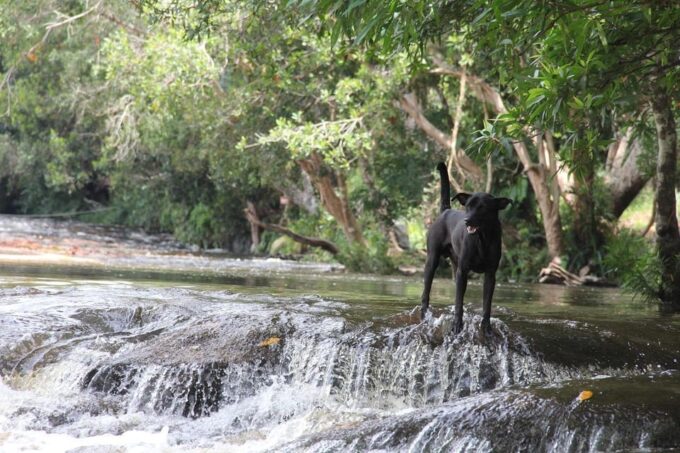 From Siem Reap: Phnom Kulen National Park Trekking Tour - Frequently Asked Questions