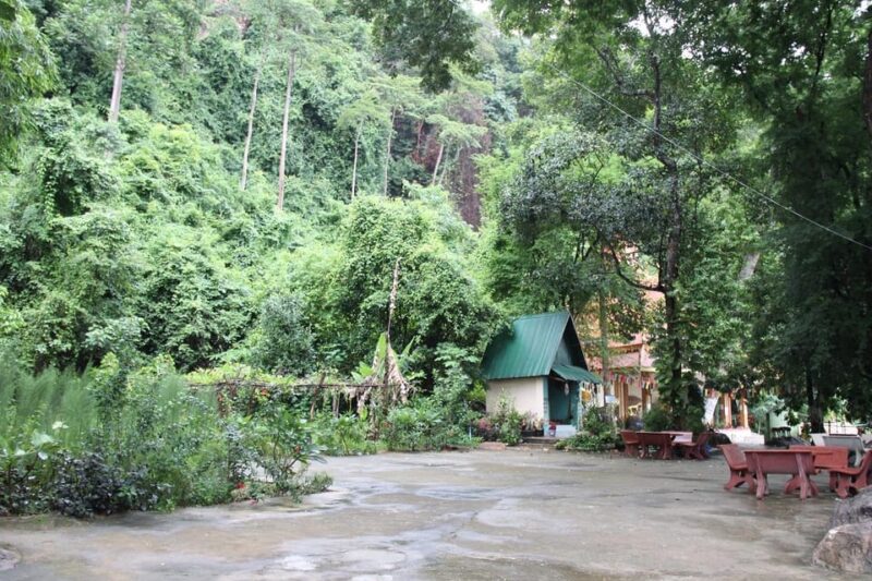 From Siem Reap: Phnom Kulen National Park Trekking Tour - Experience and Logistics