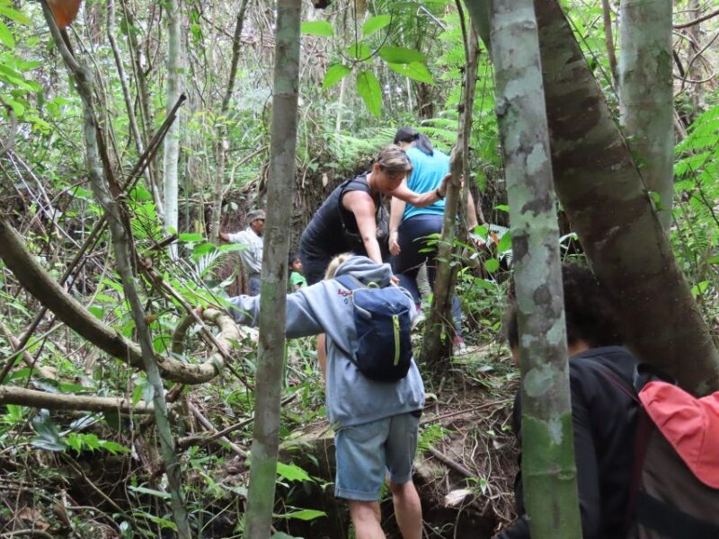 From Siem Reap: Phnom Kulen National Park Trekking Tour - Tour Experience