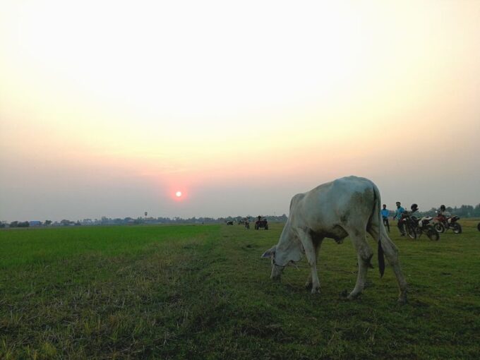 From Siem Reap: Sunset Quad Bike Tour in Countryside - Frequently Asked Questions