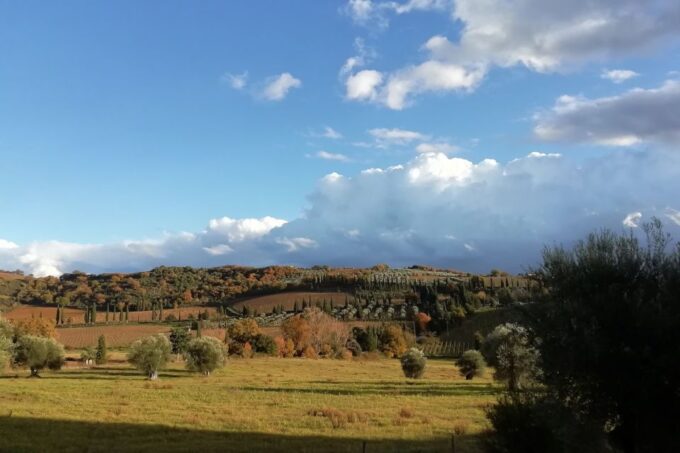 From Siena: Brunello Di Montalcino Guided Wine Tour W/ Lunch - Booking Information