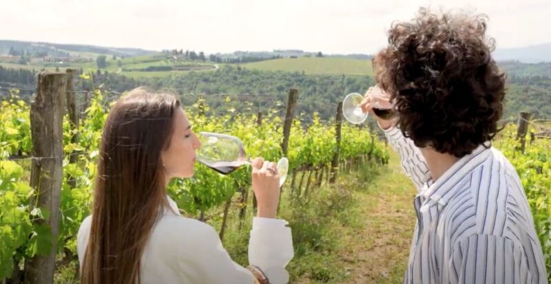 From Siena: Brunello Di Montalcino Wine Tour by Minivan - Key Points