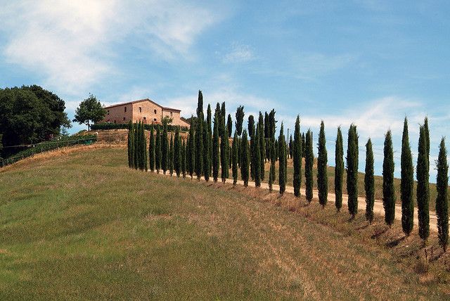 From Siena: Brunello Di Montalcino Wine Tour by Minivan - Highlights of the Experience