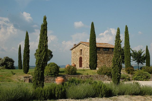 From Siena: Brunello Di Montalcino Wine Tour by Minivan - Meeting Point and Requirements