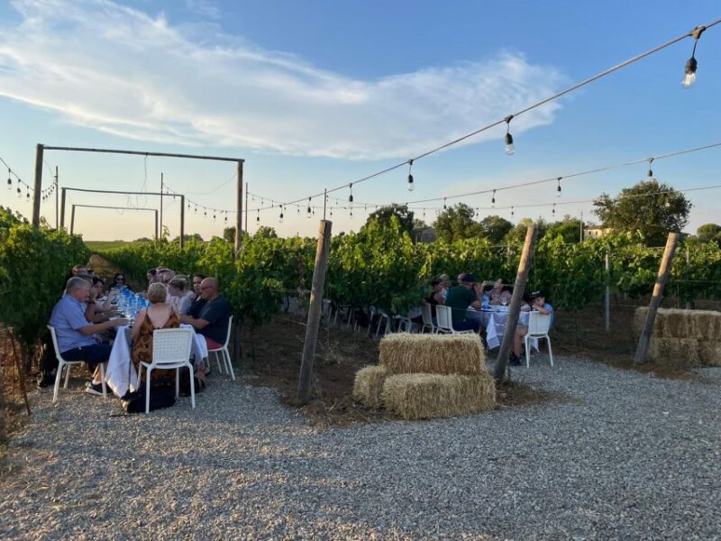 From Siena: Chianti and Castles Tour With Wine Tastings - Itinerary and Experience