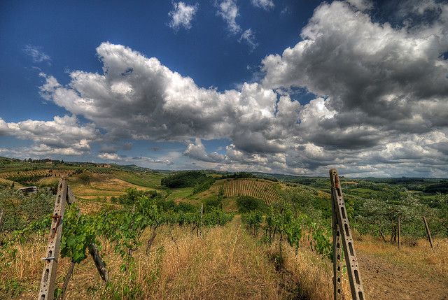 From Siena: Chianti and Castles Tour With Wine Tastings - Visiting Castellina in Chianti