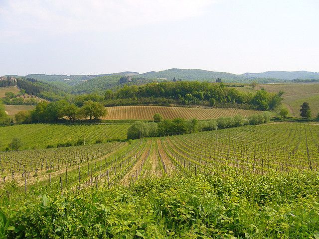 From Siena: Chianti and Castles Tour With Wine Tastings - Exploring Ancient Churches and Castles