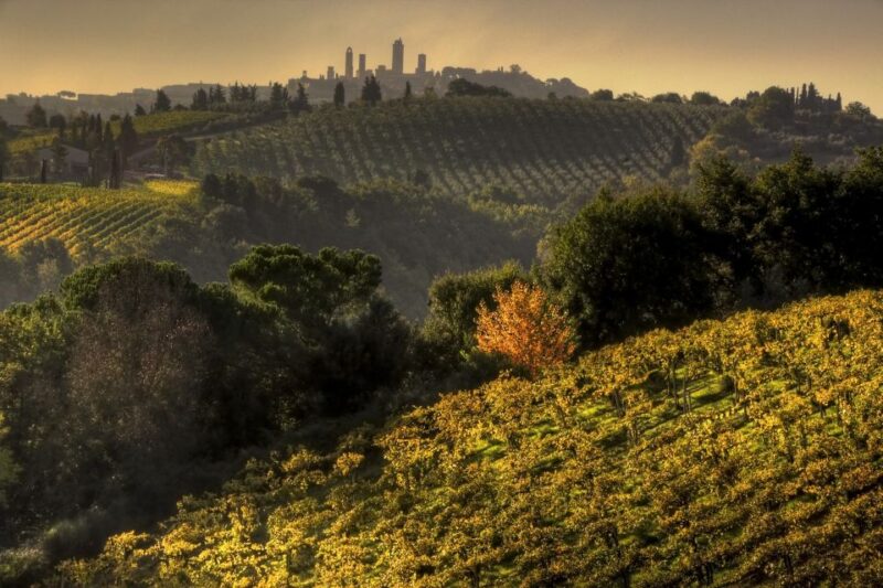 From Siena: Chianti and San Gimignano Sunset Tour - Itinerary Highlights