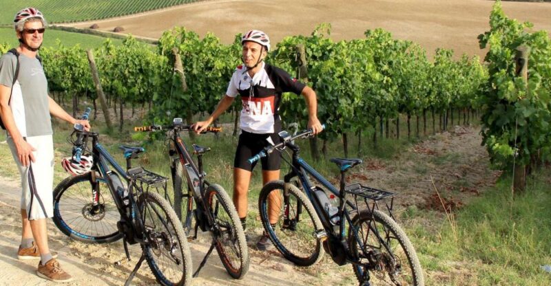 From Siena: Chianti Countryside E-Bike Tour W/ Lunch & Wine - Key Points