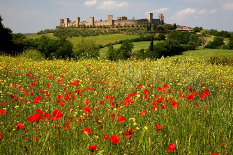 From Siena: Chianti Countryside E-Bike Tour W/ Lunch & Wine - Experience Highlights