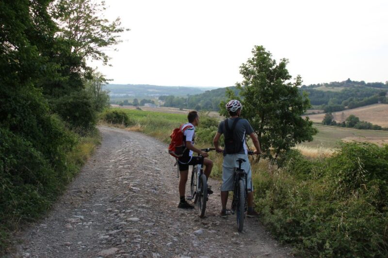 From Siena: Chianti Countryside E-Bike Tour W/ Lunch & Wine - Included in the Tour