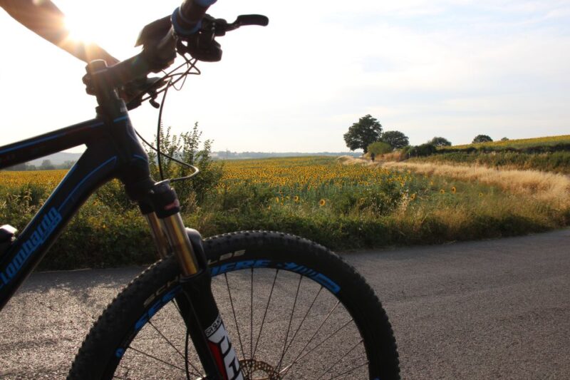 From Siena: Chianti Countryside E-Bike Tour W/ Lunch & Wine - Customer Feedback