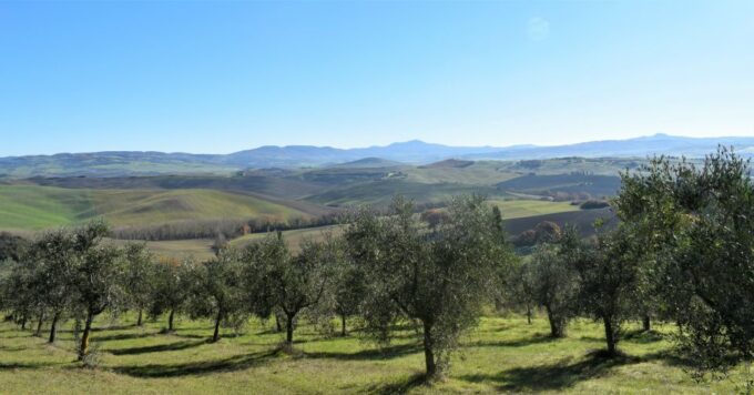 From Siena: Chianti Countryside E-Bike Tour W/ Lunch & Wine - Difficulty and Fitness Level