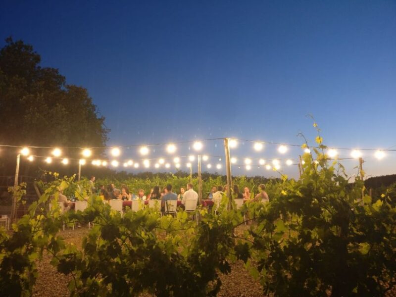 From Siena/Chianti: Dinner & Drinks in the Chianti Vineyards - Inclusions and Transportation