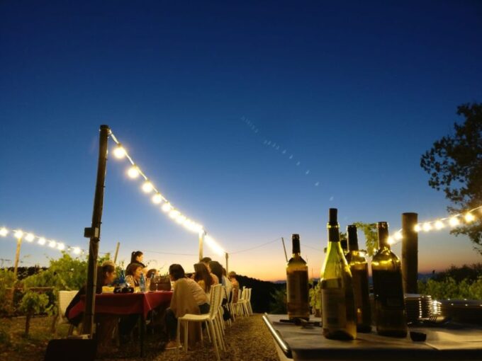 From Siena/Chianti: Dinner & Drinks in the Chianti Vineyards - Cancellation and Refund Policy