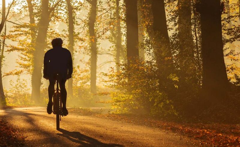 From Siena: Chianti Electric Bike Tour - Activity Highlights