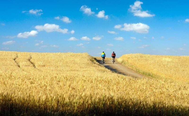 From Siena: Chianti Electric Bike Tour - Inclusions and Exclusions